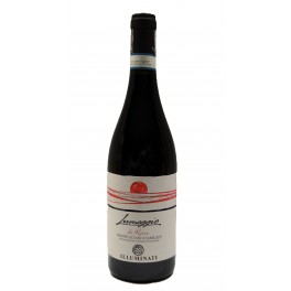 Lumeggio di Rosso Montepulciano d´Abruzzo DOC