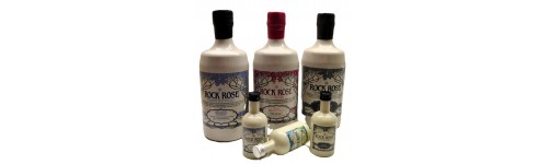 Gin - Portfolio